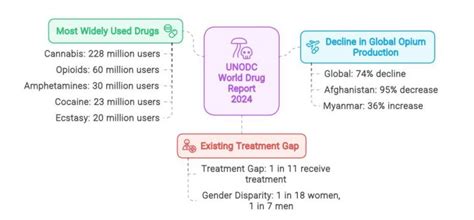 drug price reference index 2024|World Drug Report 2024 .